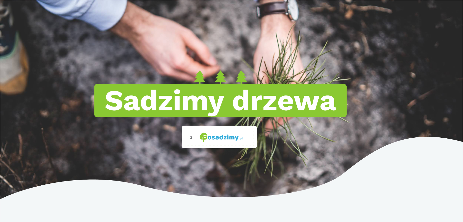 Rozpoczęliśmy współpracę z posadzimy.pl